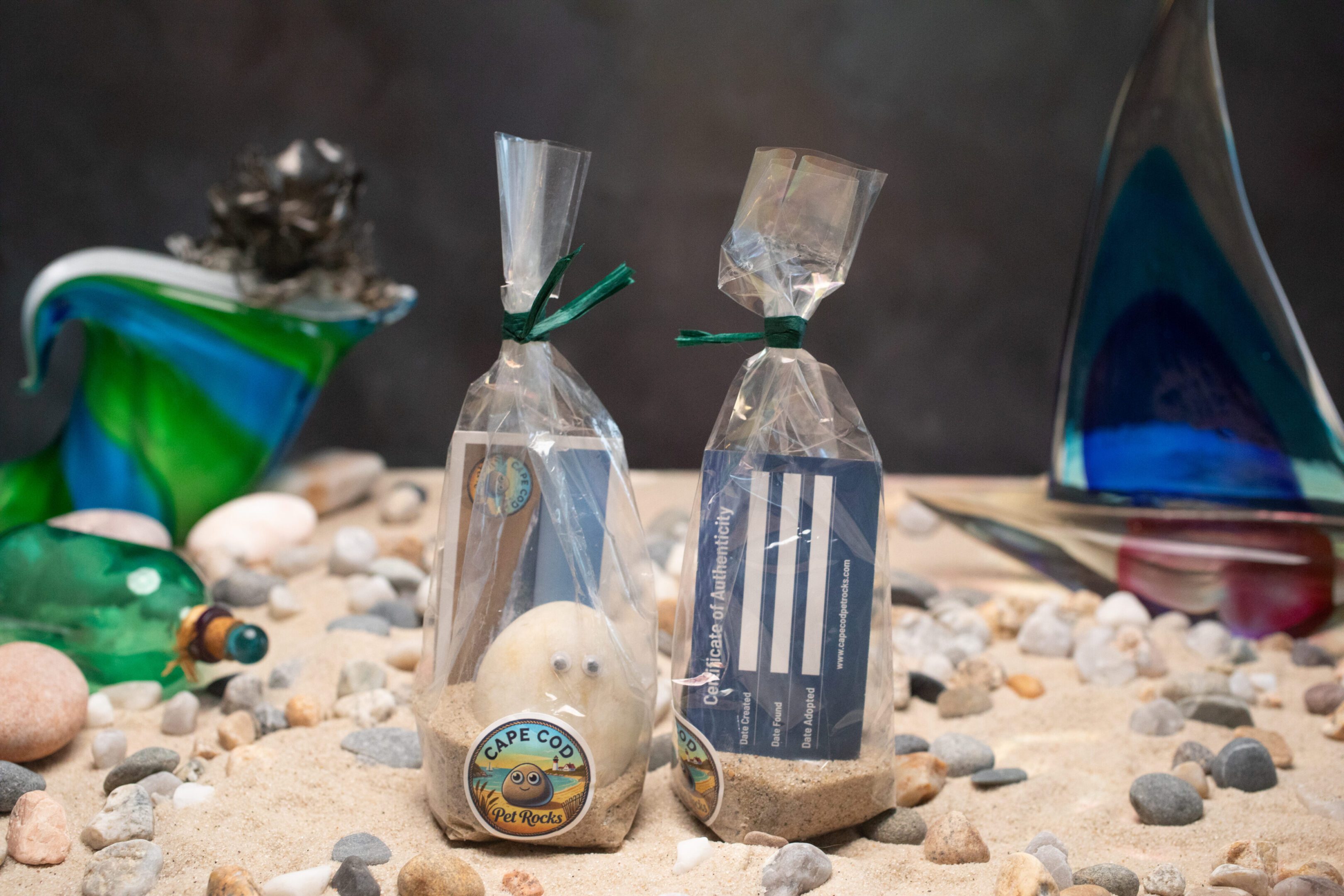 front and back photo of a pet rock package