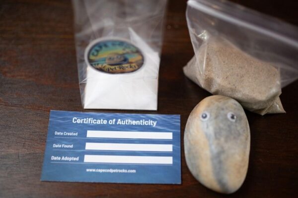 photo of all parts of the package shown separately.