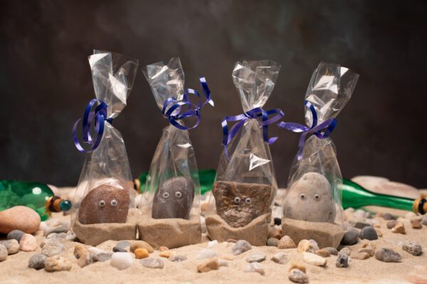 A group of four bags with pet rocks