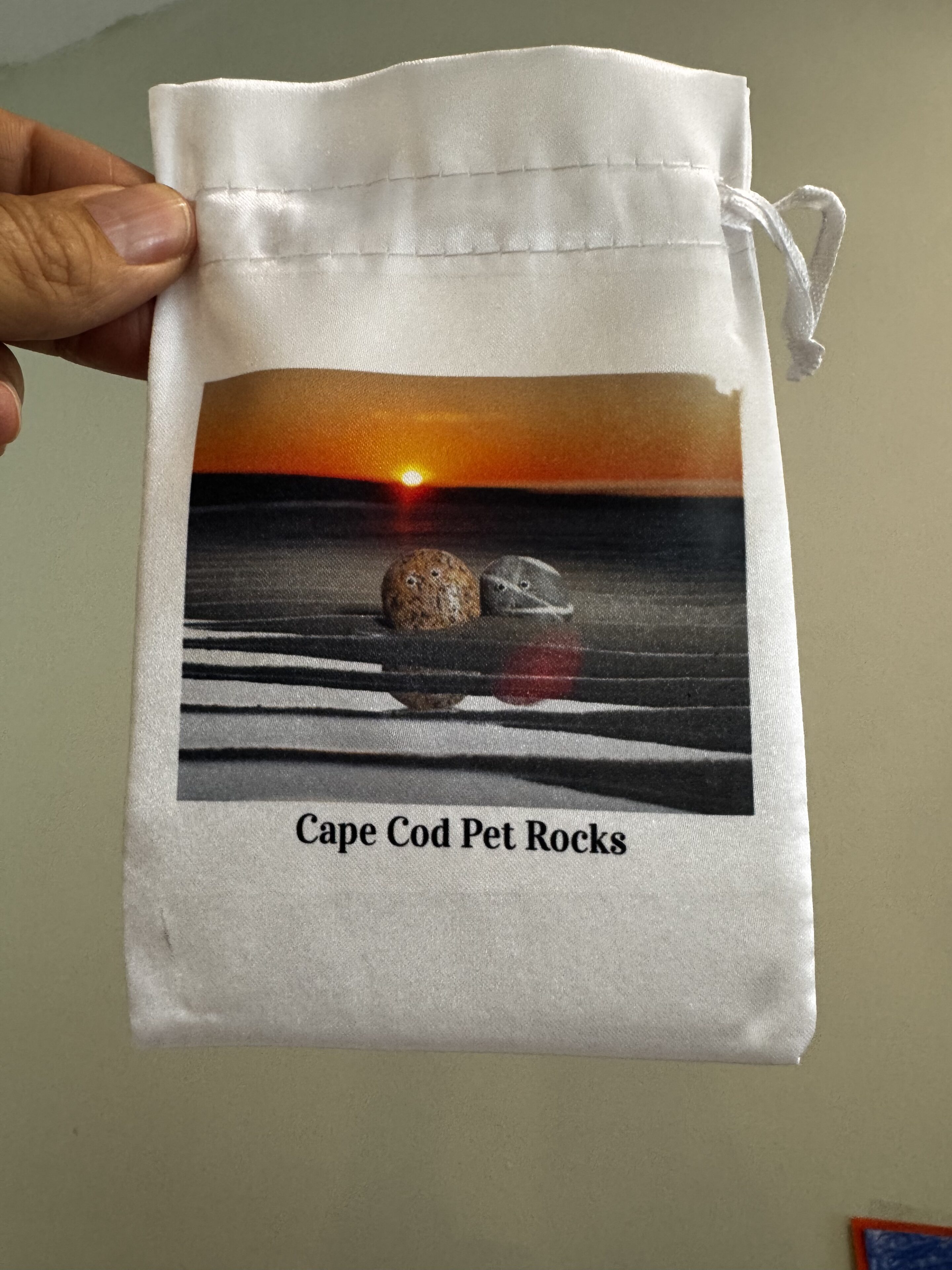 Carry Pouch