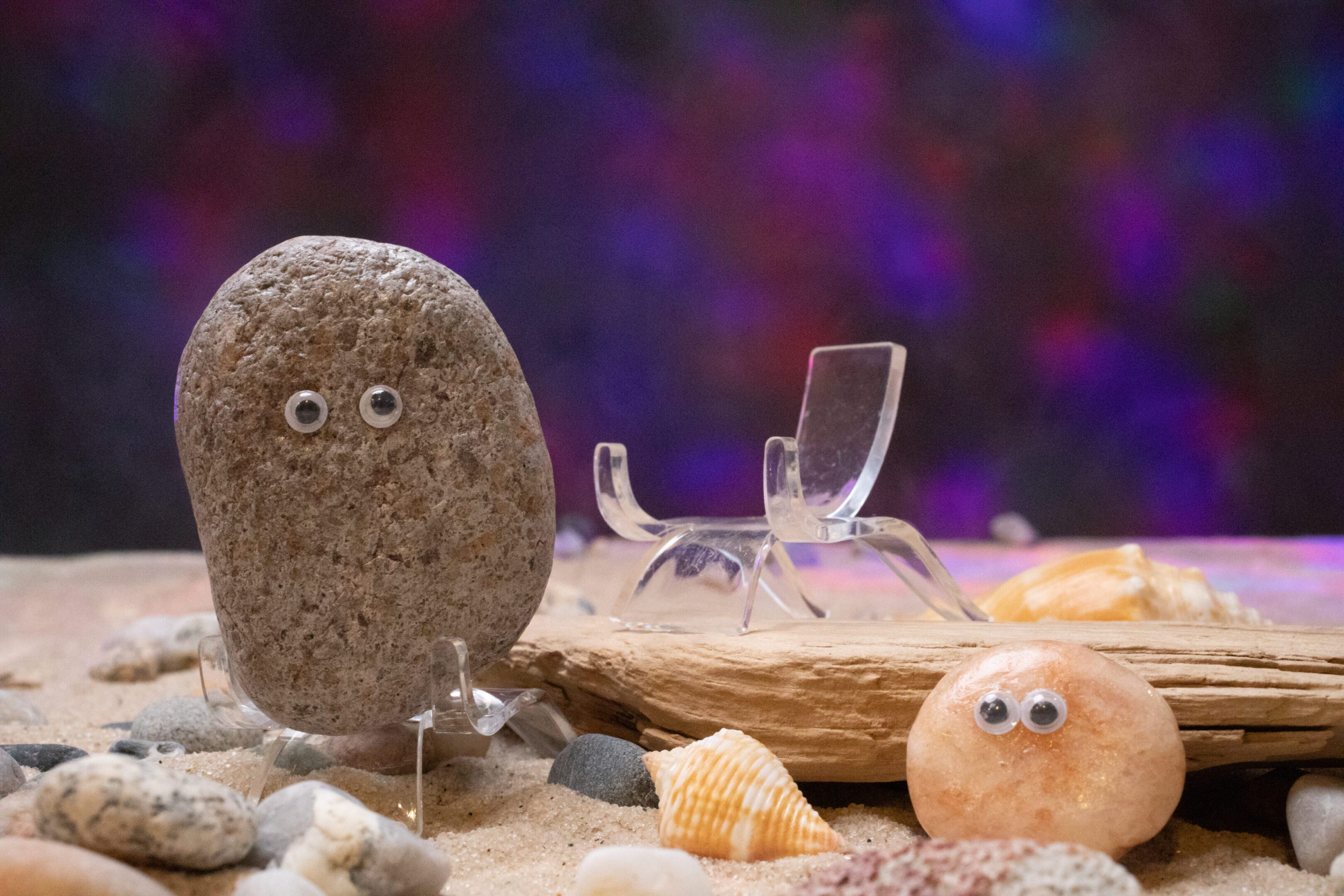 Pet rocks with display stand