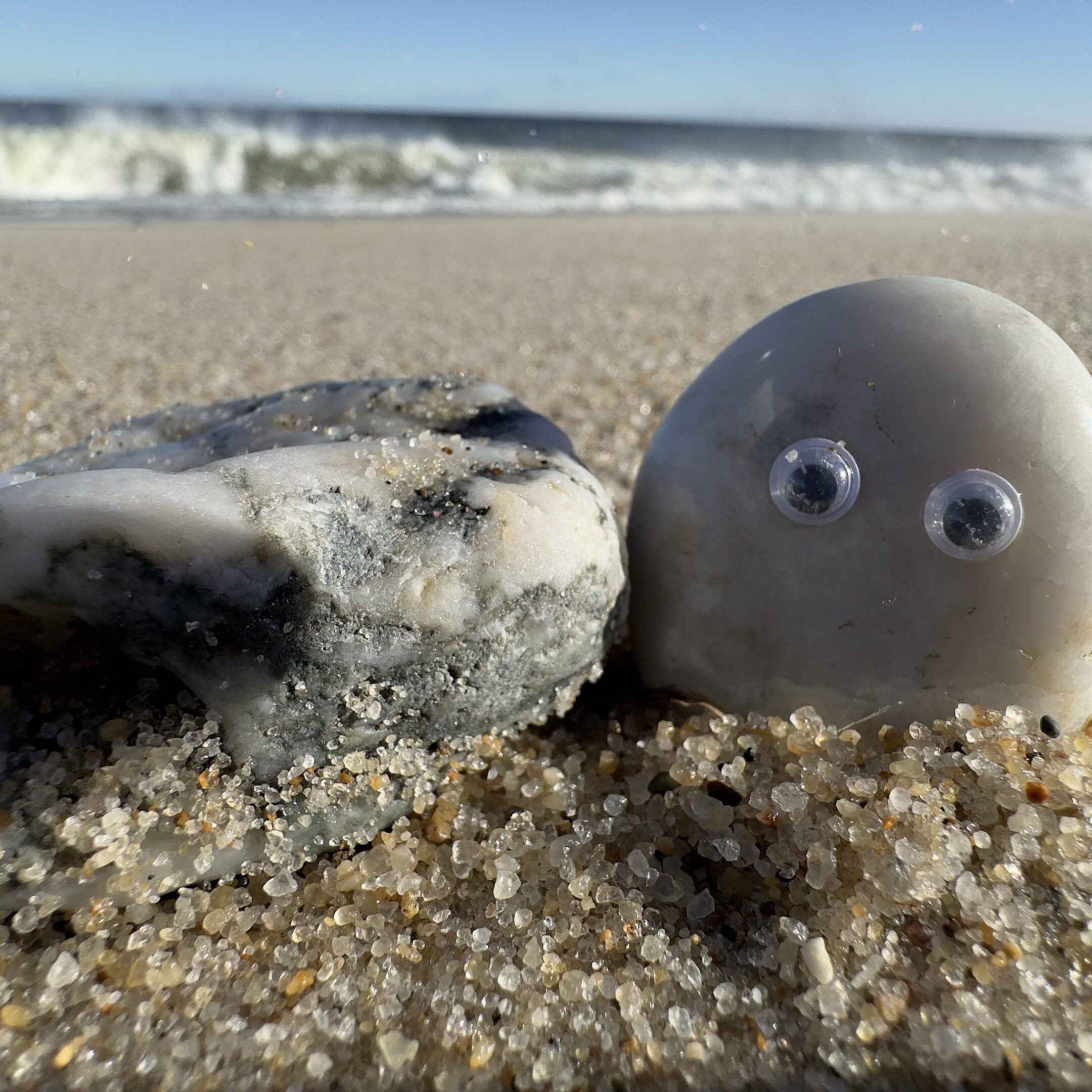 A close up of a pet rock face on the ocean in the distance