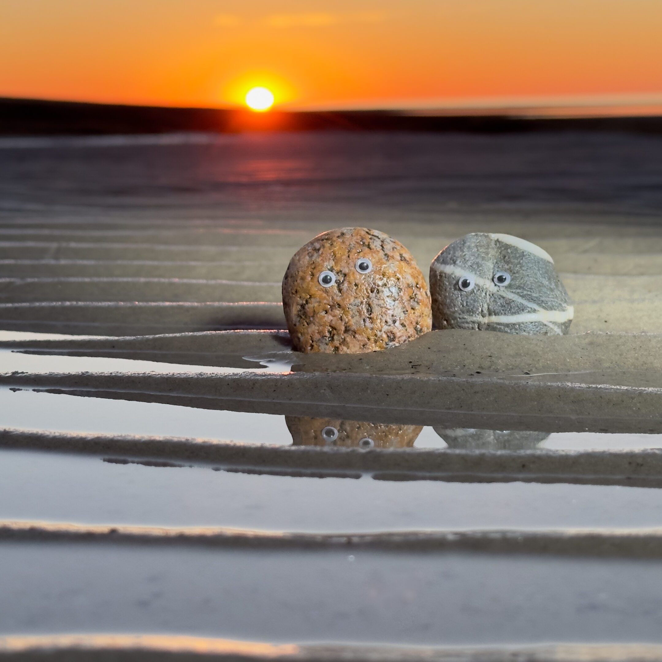 pet rocks at sunset