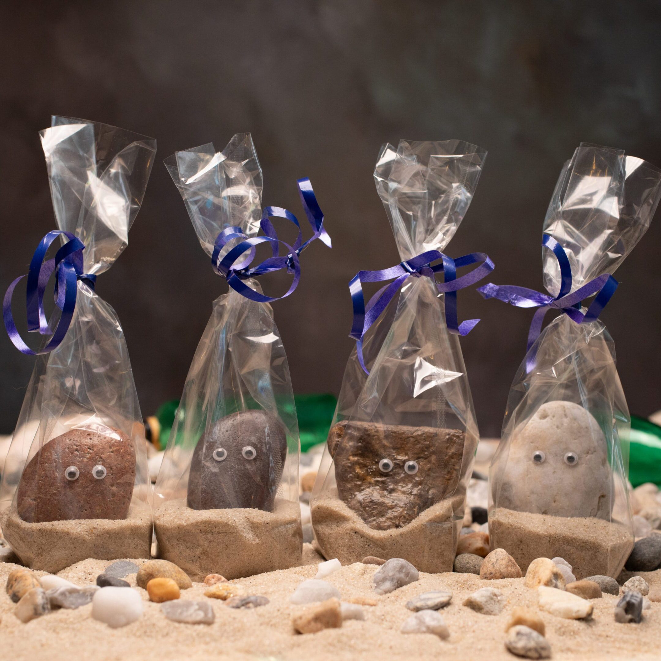 A group of four bags with pet rocks